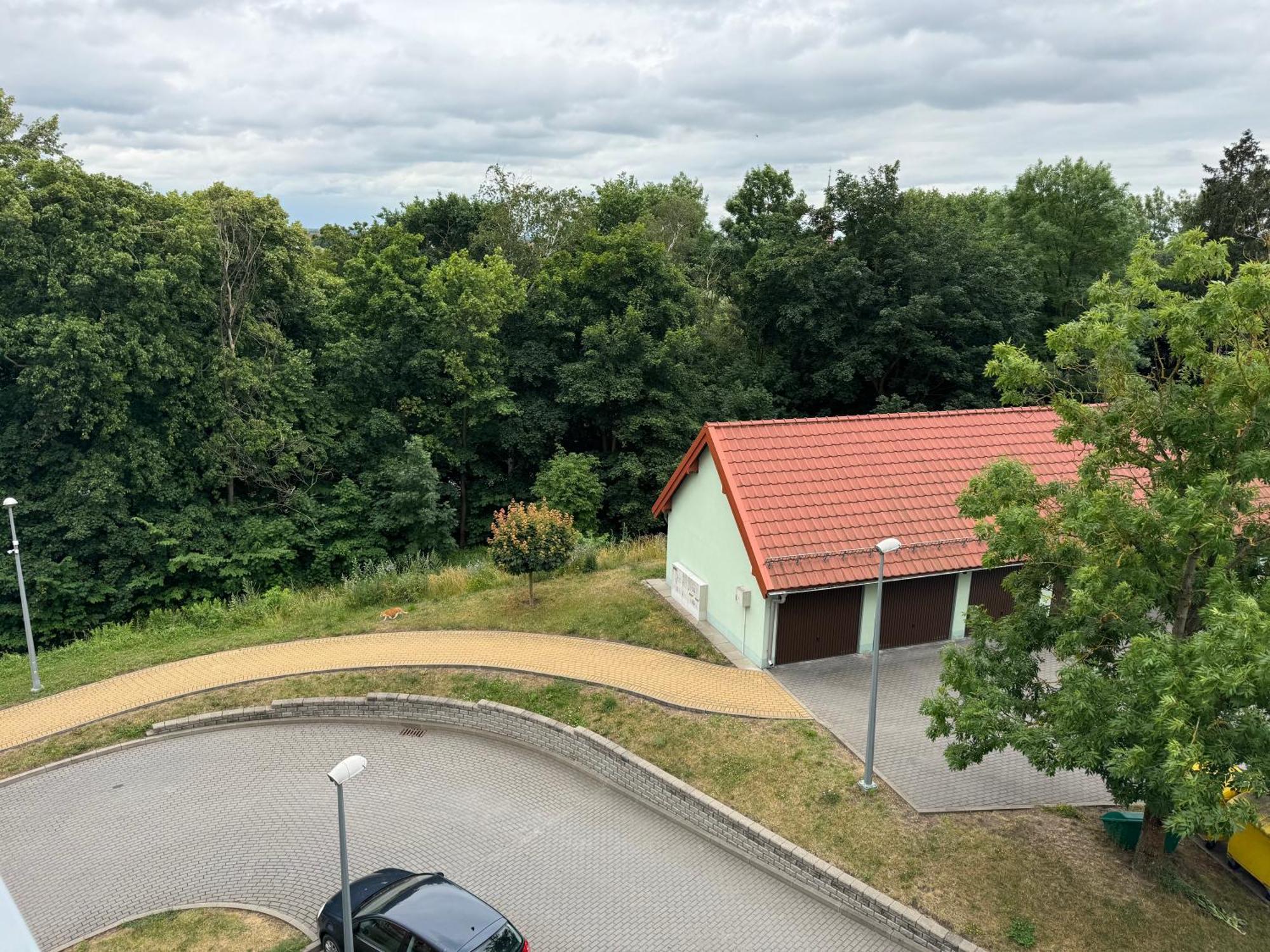 Bozki Apartament Kętrzyn Εξωτερικό φωτογραφία